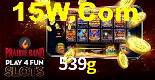 Programa VIP 539g