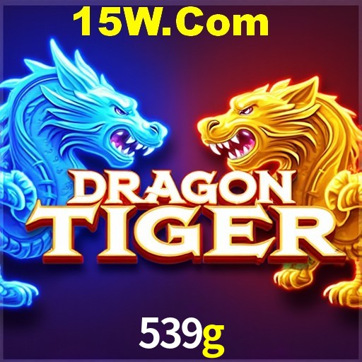 Bonus Features 539g